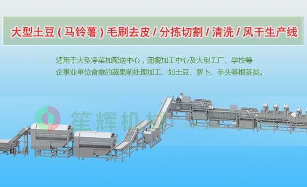 宝丰连续式土豆去皮清洗切割风干生产线